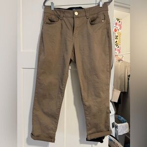 Democracy Ab-Solution Ankle Skimmer Pant, Portobello